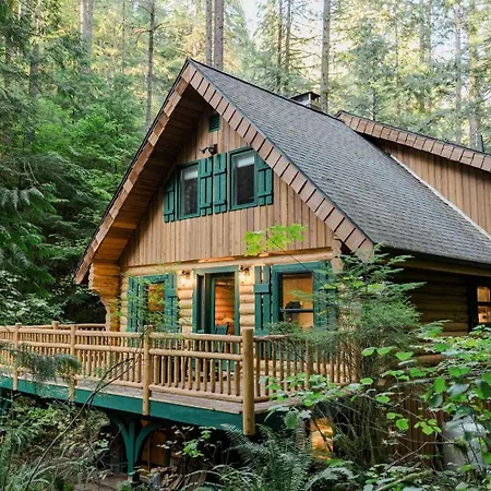 87Sl - Starlink - Sauna - Pets Ok - Sleeps 8 Cabin